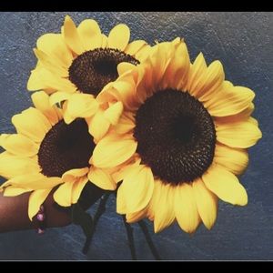 Meet your Posher, Mary grace